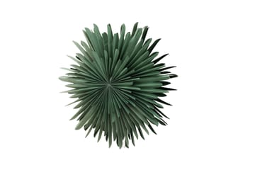 Sälen Adventsstjärna / Jullampa 80 cm - Grön - Belysning - Julbelysning - Adventsstjärna