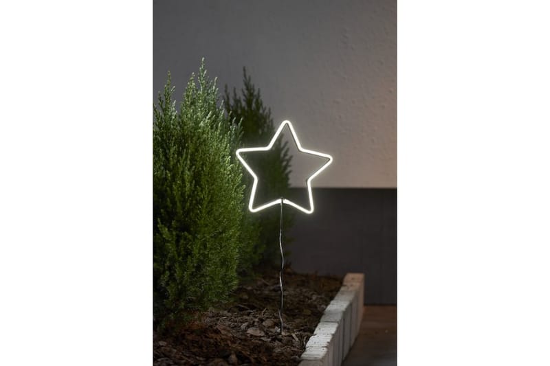 Star Trading NeonStar 58 cm - Star Trading - Julbelysning utomhus