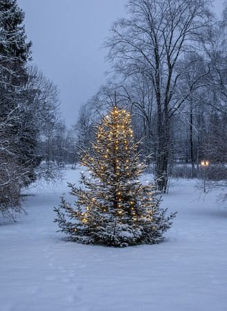 LED-julgransslinga Dew Drop Micro 2 m 160 ljus Varmvit - Grön - Belysning - Julbelysning - Jullampor