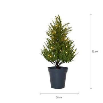 Thuja Dekorationsträd 55 cm - grön - Belysning - Julbelysning - Jullampor