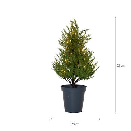 Thuja Dekorationsträd 55 cm - grön - Belysning - Julbelysning - Jullampor