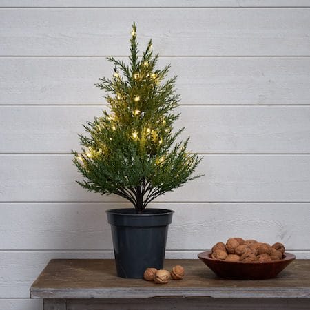 Thuja Dekorationsträd 55 cm - grön - Belysning - Julbelysning - Jullampor