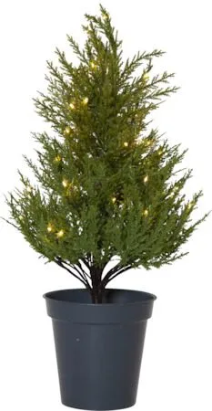 Thuja Dekorationsträd 55 cm, grön