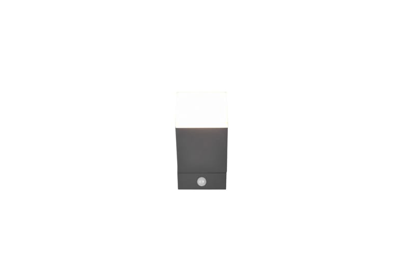 Avon LED 1L vägglampa antracit rörelsessensor - Antracit - Belysning - Utelampor & utomhusbelysning - Fasadbelysning & vägglyktor