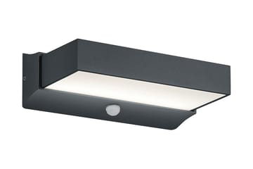 Cuando LED Vägglampa rörelsessensor antracit - Antracit - Belysning - Utelampor & utomhusbelysning - Fasadbelysning & vägglyktor