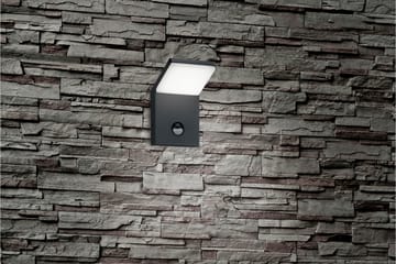 Pearl LED vägglampa rörelsessensor antracit - Antracit/Vit - Belysning - Utelampor & utomhusbelysning - Fasadbelysning & vägglyktor