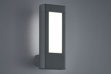 Rhine LED vägglampa antracit - Antracit/Vit - Belysning - Utelampor & utomhusbelysning - Fasadbelysning & vägglyktor