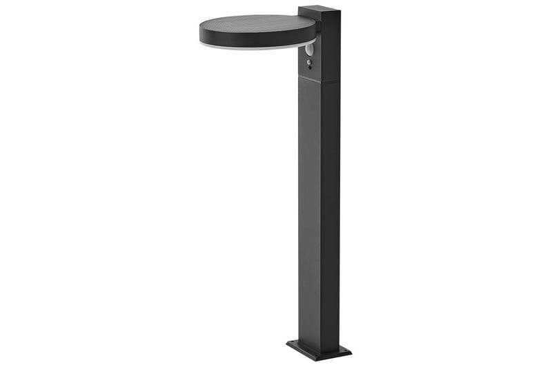 Hydra LED Solcellsbelysning 50 cm - Svart - Belysning - Utelampor & utomhusbelysning - Solcellsbelysning