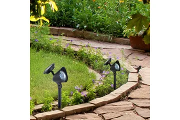 Leku-Sol Just Light Marklampa - Black - Belysning - Utelampor & utomhusbelysning - Markbelysning