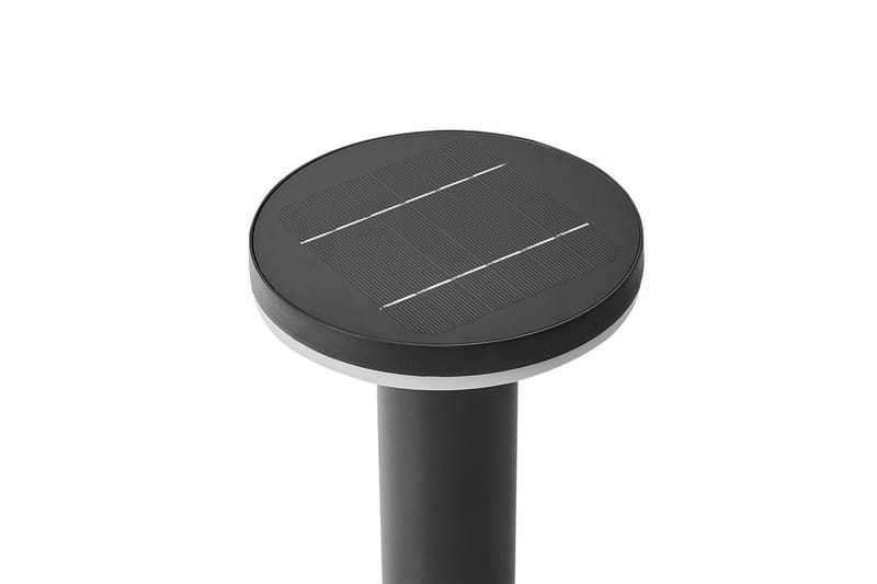 Naxel LED Solcellsbelysning 60 cm - Svart - Belysning - Utelampor & utomhusbelysning - Solcellsbelysning