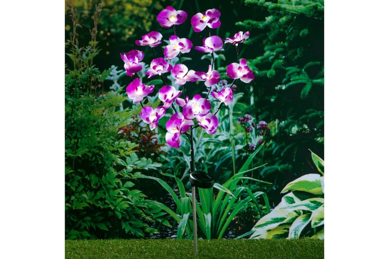 HI Soldriven LED-trädgårdslampa orkidé 75 cm - Lila - Solcellsbelysning - Trädgårdsbelysning
