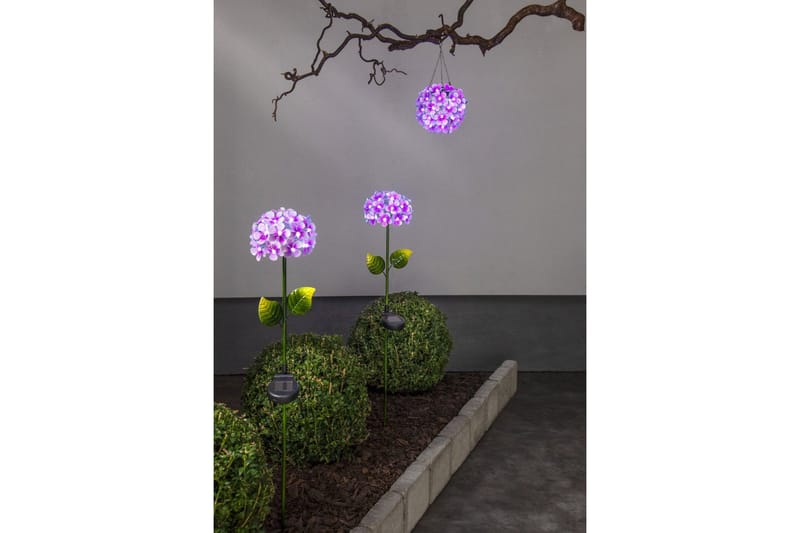 Star Trading Hortensia Solcellsbelysning 16 cm - Star Trading - Trädgårdsbelysning - Solcellsbelysning