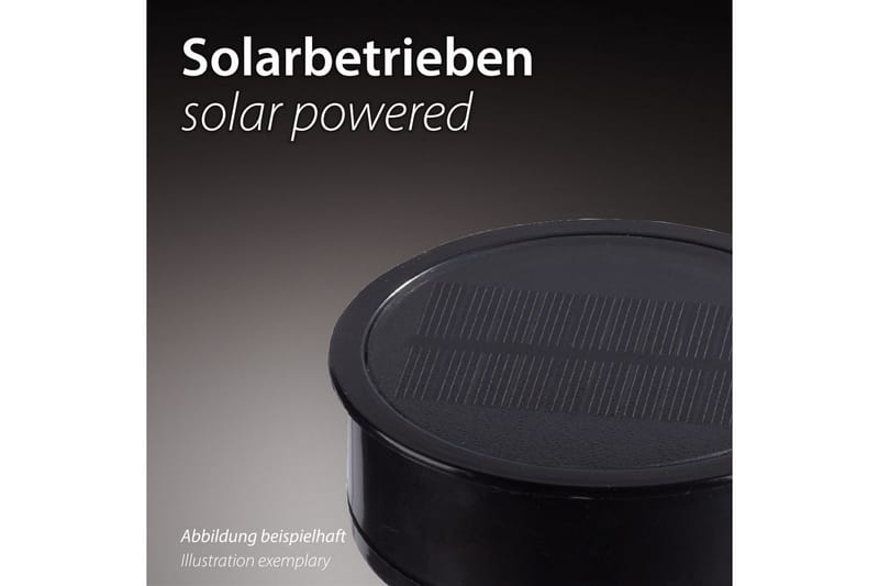 Teania Sol Just Light - Black - Belysning - Utelampor & utomhusbelysning - Solcellsbelysning