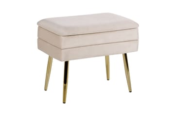 Förvaringsbänk Odessa Beige/guld