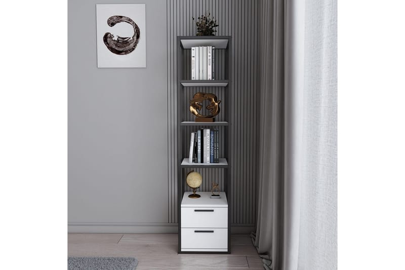 Desgrar Bokhylla 39x160 cm - Svart - Förvaring - Hylla - Bokhylla