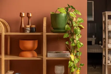 Makwana Bokhylla 120 cm - Natural - Förvaring - Hylla - Bokhylla