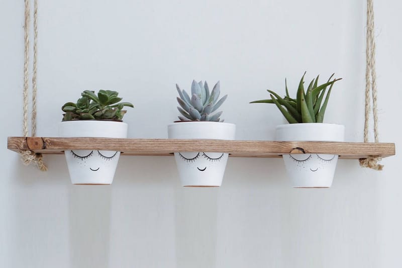 Evila Rephylla till Krukor - Trä - Förvaring - Hylla - Vägghylla