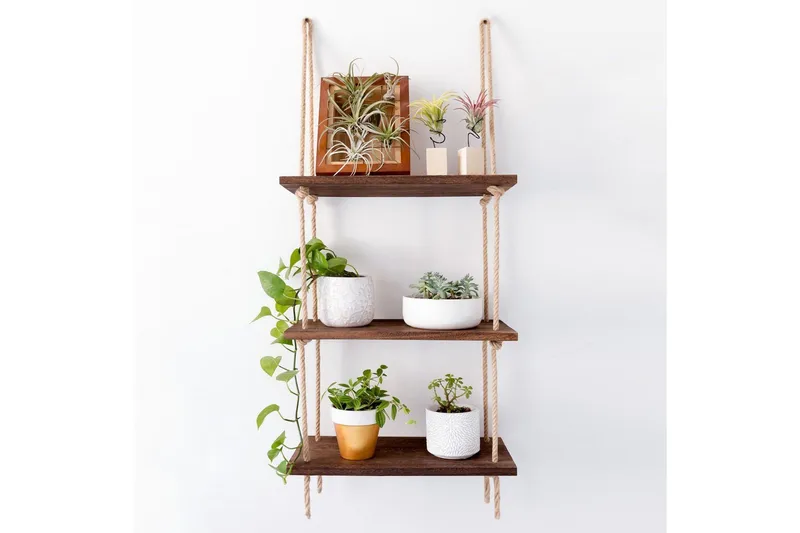 Evila Rephylla Trä - Trä - Förvaring - Hylla - Vägghylla