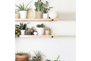 Wayte Vägghylla 60 cm - Svart/Ek - Förvaring - Hylla - Vägghylla