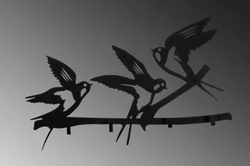 Salcuta Klädkrokar 52x32 cm - Svart - Förvaring - Klädförvaring - Klädhängare - Krokar