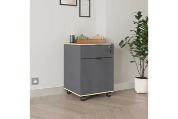 Flerfunktionsskåp Noriorsteadra Antracit / Ek - Gråfärgat trä/Antracit - Förvaring - Förvaringsmöbler - Byrå - Hurts