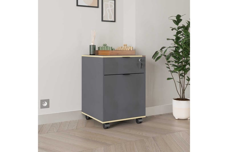 Flerfunktionsskåp Noriorsteadra Antracit / Ek - Gråfärgat trä/Antracit - Förvaring - Förvaringsmöbler - Byrå - Hurts