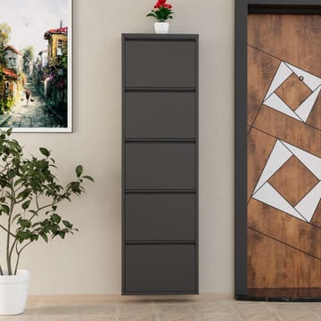 Rylanis Skoskåp 50x169 cm - Antracit - Förvaring - Skåp - Förvaringsskåp