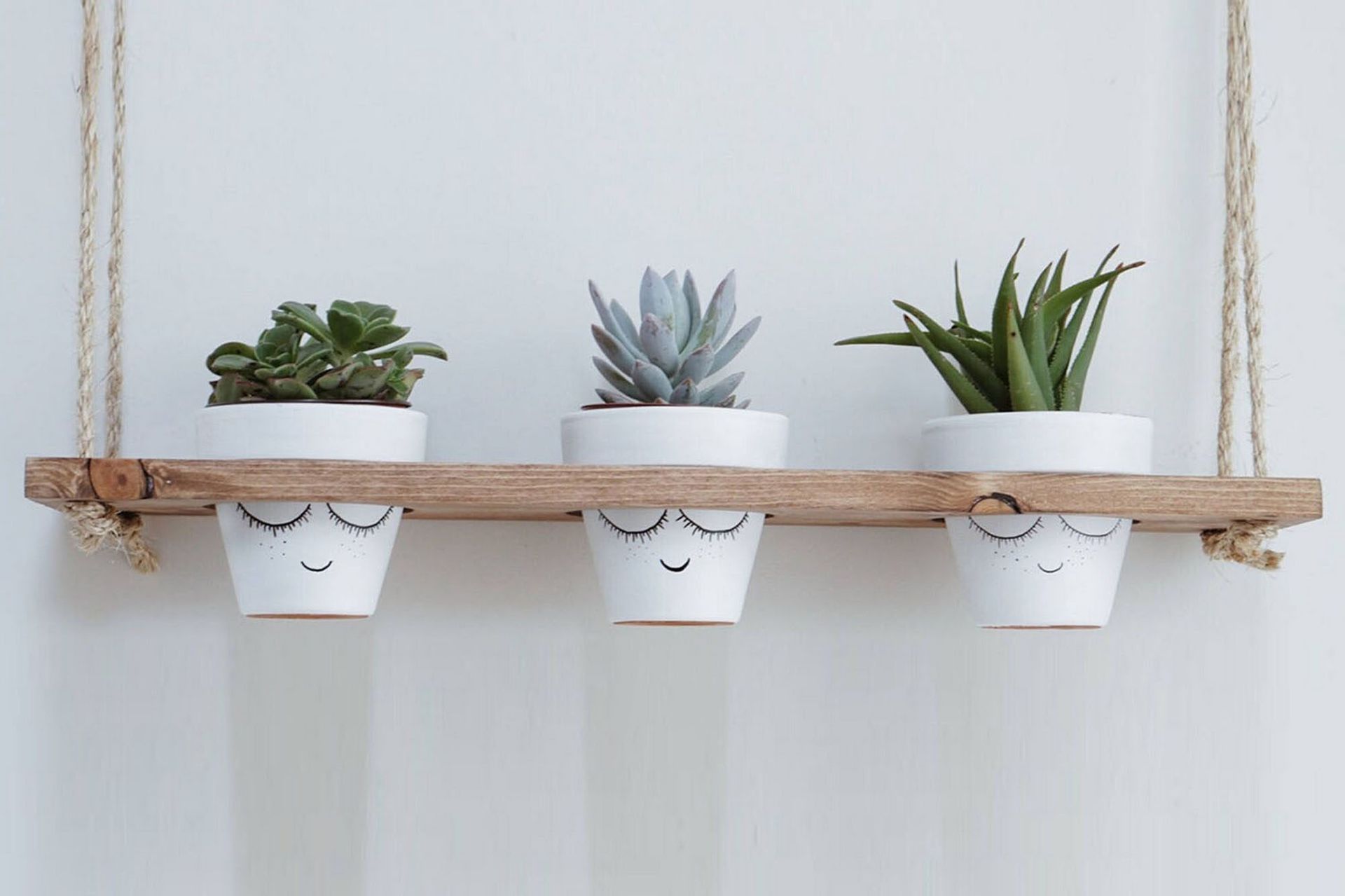 Evila Rephylla till Krukor - Tr&auml;