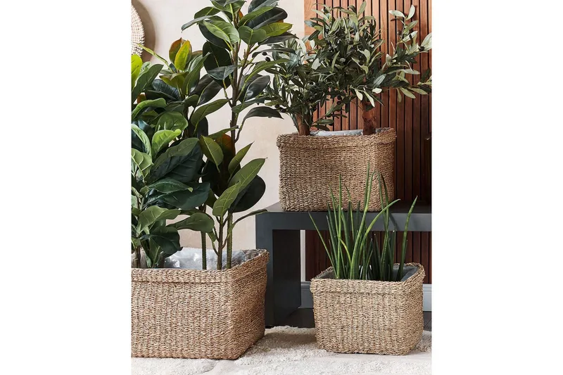 Inomhuskruka Rivuline set om 3 - Inredning - Dekoration & inredningsdetaljer - Krukor & ytterkrukor