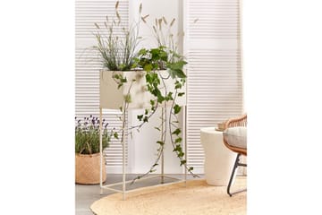 Inomhuskruka Tapien Beige - Beige - Inredning - Dekoration & inredningsdetaljer - Krukor & ytterkrukor