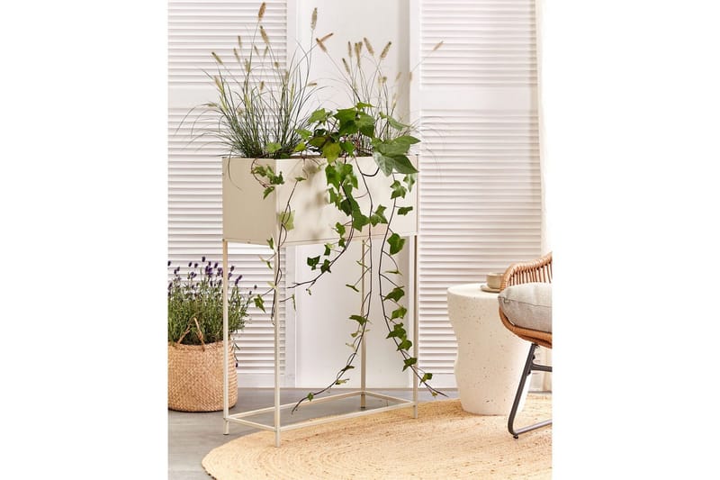 Inomhuskruka Tapien Beige - Beige - Inredning - Dekoration & inredningsdetaljer - Krukor & ytterkrukor