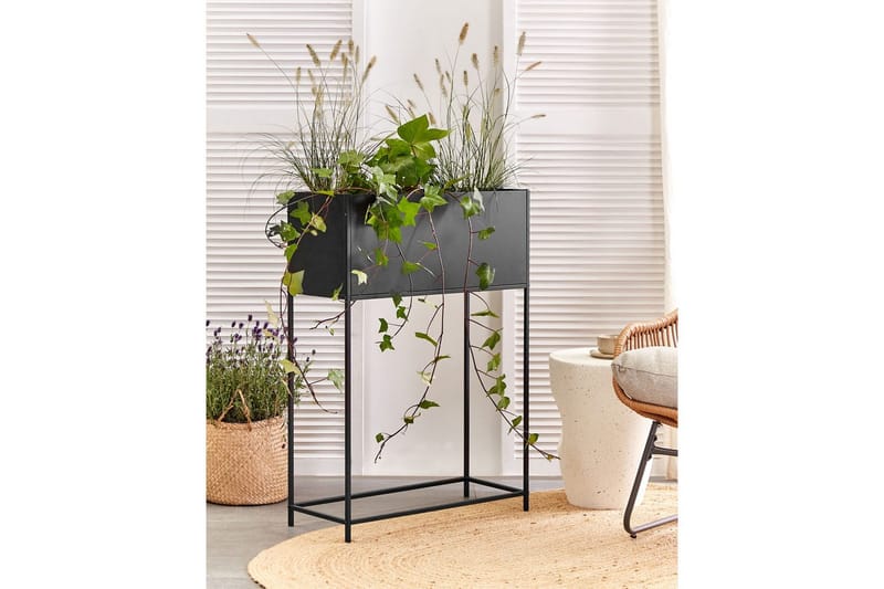 Inomhuskruka Tapien Svart - Svart - Inredning - Dekoration & inredningsdetaljer - Krukor & ytterkrukor