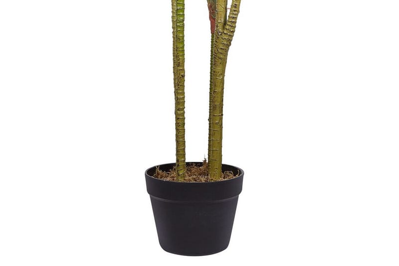 Berden Konstgjord Krukväxt 147 cm Dracaena anita - Grön - Inredning - Dekoration & inredningsdetaljer - Konstväxt & plastblommor