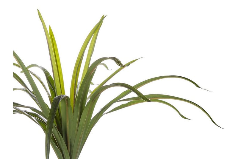Berden Konstgjord Krukväxt 147 cm Dracaena anita - Grön - Inredning - Dekoration & inredningsdetaljer - Konstväxt & plastblommor