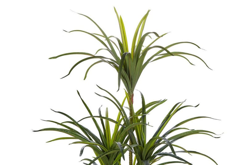 Berden Konstgjord Krukväxt 147 cm Dracaena anita - Grön - Inredning - Dekoration & inredningsdetaljer - Konstväxt & plastblommor