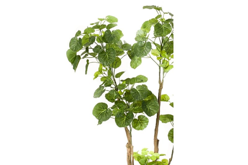 Emerald Konstgjord växt Polyscias träd 135 cm 420292 - Konstväxt & plastblommor - Blomsterdekoration
