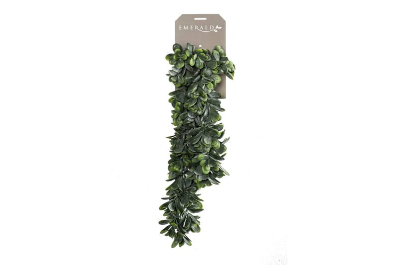Emerald Konstväxt grassula 80 cm - Konstväxt & plastblommor - Blomsterdekoration