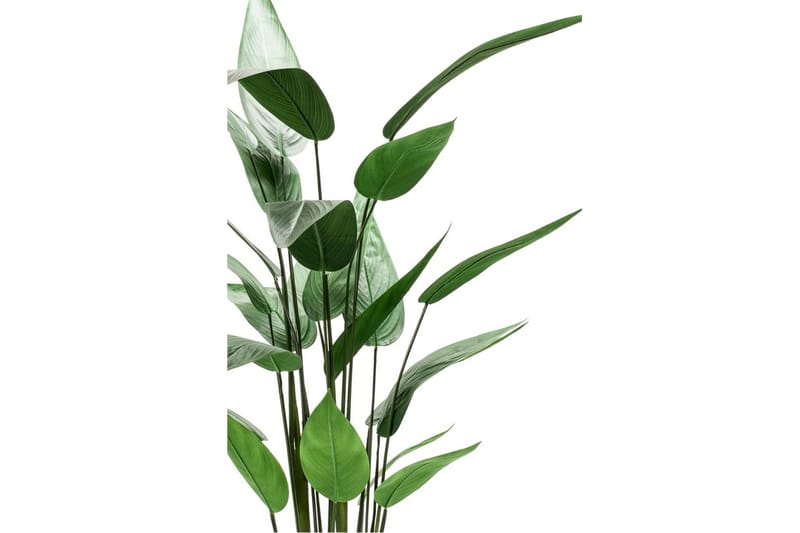 Emerald Konstväxt Heliconia grön 125 cm 419837 - Konstväxt & plastblommor - Blomsterdekoration