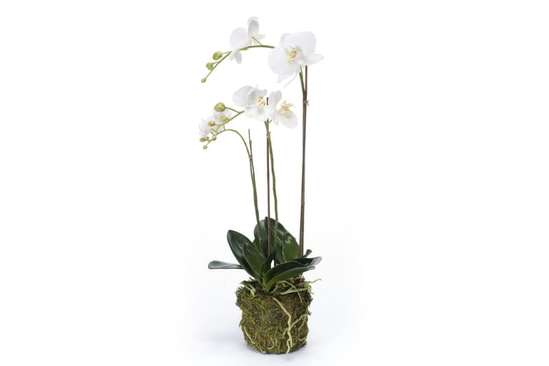 Emerald Konstväxt orkidé 70 cm vit - Konstväxt & plastblommor - Blomsterdekoration