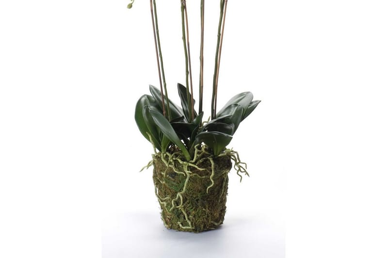 Emerald Konstväxt orkidé m. mossa vit 90 cm 20.355 - Konstväxt & plastblommor - Blomsterdekoration