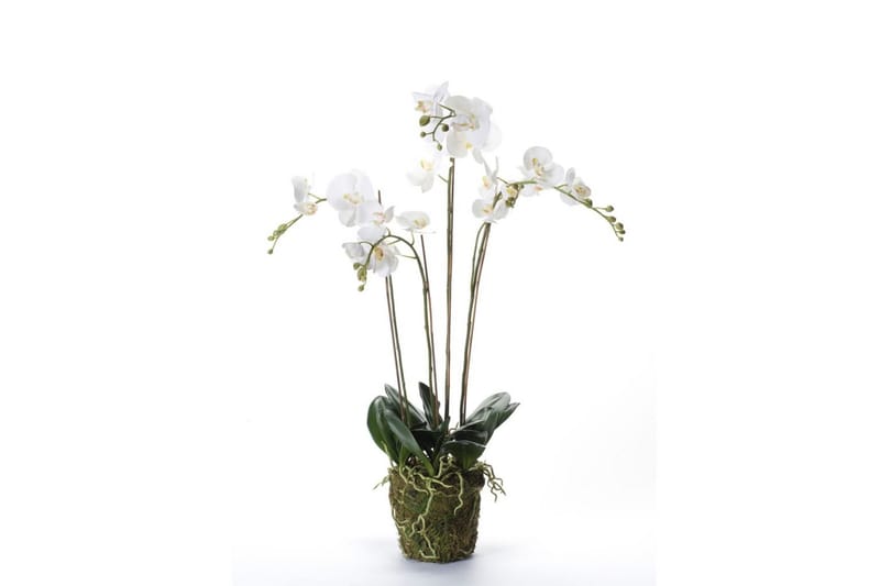 Emerald Konstväxt orkidé m. mossa vit 90 cm 20.355 - Konstväxt & plastblommor - Blomsterdekoration