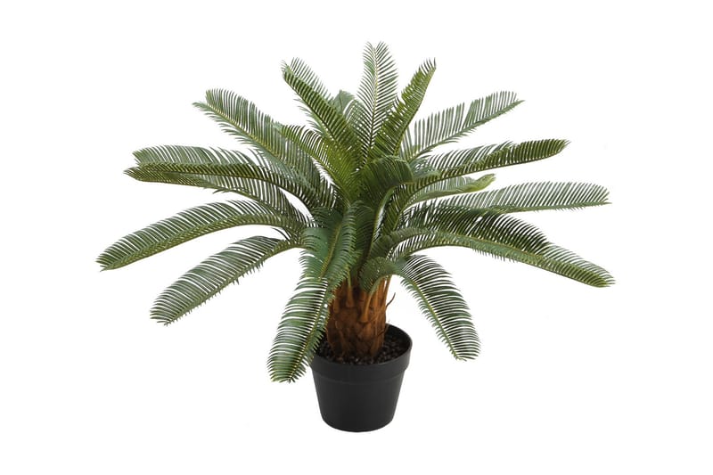 Grön växt CYCAS H70cm svart kruka - Konstväxt & plastblommor - Blomsterdekoration