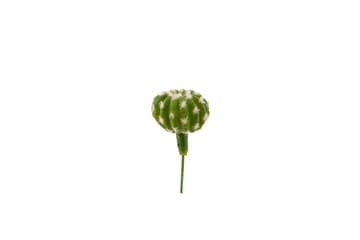 Kaktuspinne Tropical 14 cm - Inredning - Dekoration & inredningsdetaljer - Konstväxt & plastblommor