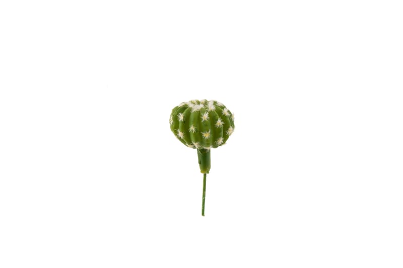 Kaktuspinne Tropical 14 cm - Konstväxt & plastblommor - Blomsterdekoration