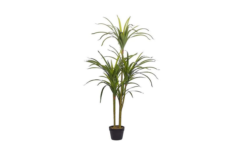 Konstgjord Krukväxt Beauden 147 cm Dracaena anita - Grön - Konstväxt & plastblommor - Blomsterdekoration