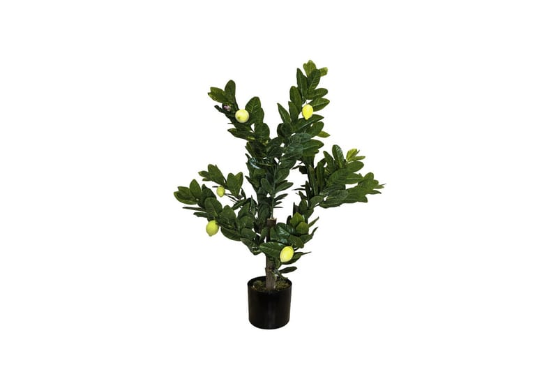 Konstgjord Växt Citronträd 100cm - Konstväxt & plastblommor - Blomsterdekoration