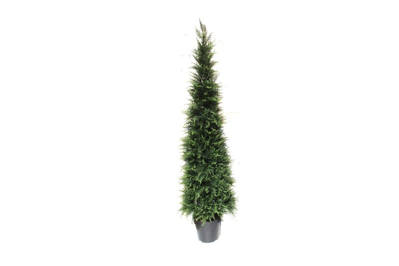 Konstgjord Växt Cypress 150cm - Konstväxt & plastblommor - Blomsterdekoration