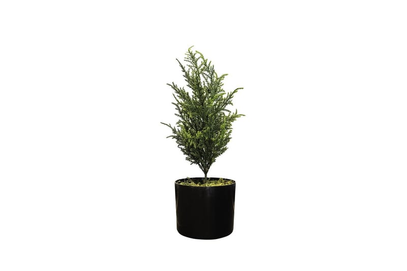 Konstgjord Växt Cypress 42cm - Konstväxt & plastblommor - Blomsterdekoration