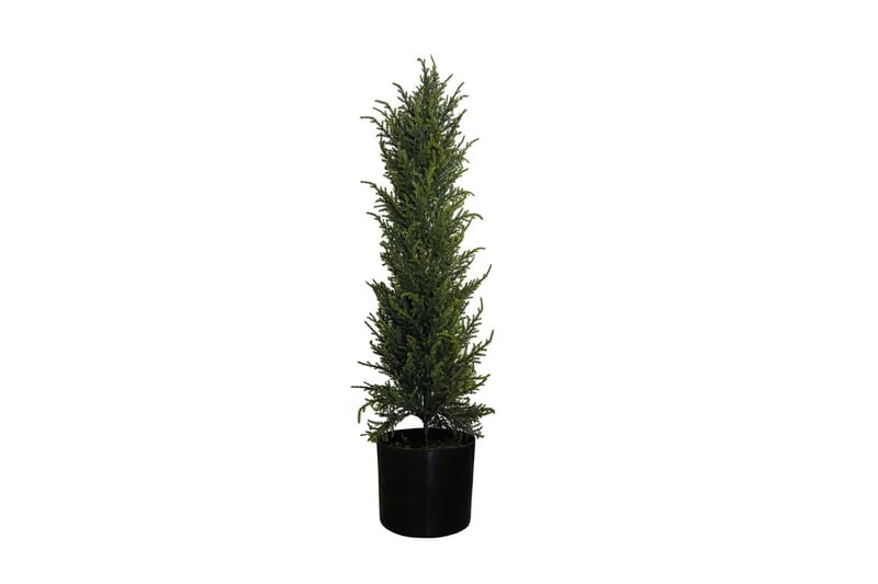 Konstgjord Växt Cypress 80cm - Konstväxt & plastblommor - Blomsterdekoration