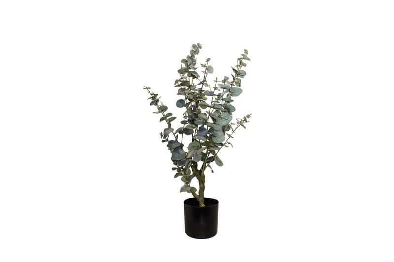 Konstgjord Växt Eukalyptusträ 60cm - Konstväxt & plastblommor - Blomsterdekoration